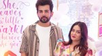 Jay Bhanushali and Mahhi Vij have announced separation