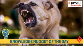Knowledge Nugget: Delhi to declare rabies a ‘notifiable disease’— What you must know for the UPSC Exam