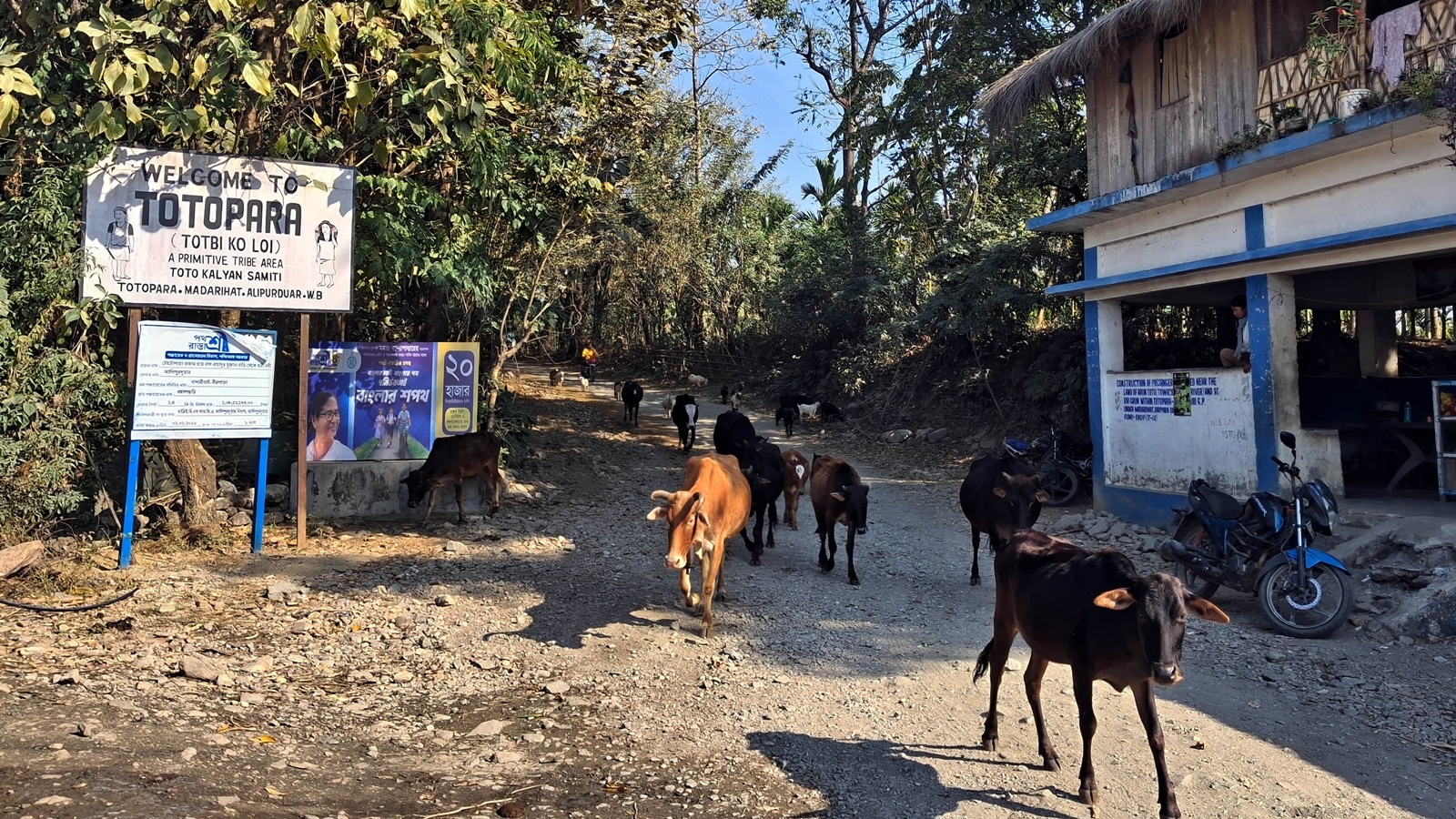 Who will compensate me? ': SIR hearings are costly for West Bengal's smallest tribe