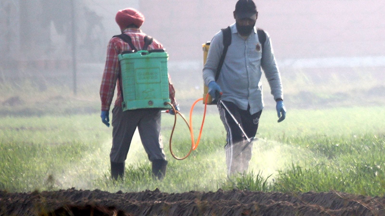 Salaries of 2,100 MGNREGS staff in Punjab remain unpaid for months amid protests against VB-G RAM G Act