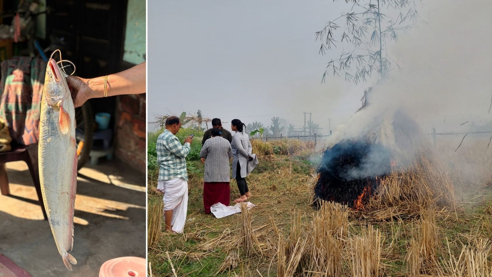 Makar Sankranti and Bihu