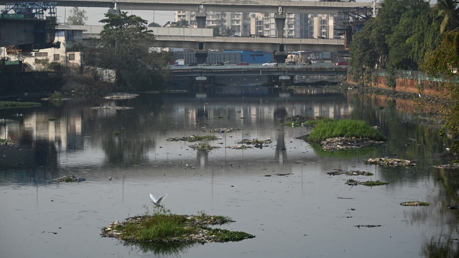 BMC polls tomorrow, look at Mithi river today: Toxic flow, projects stalled, crores unspent