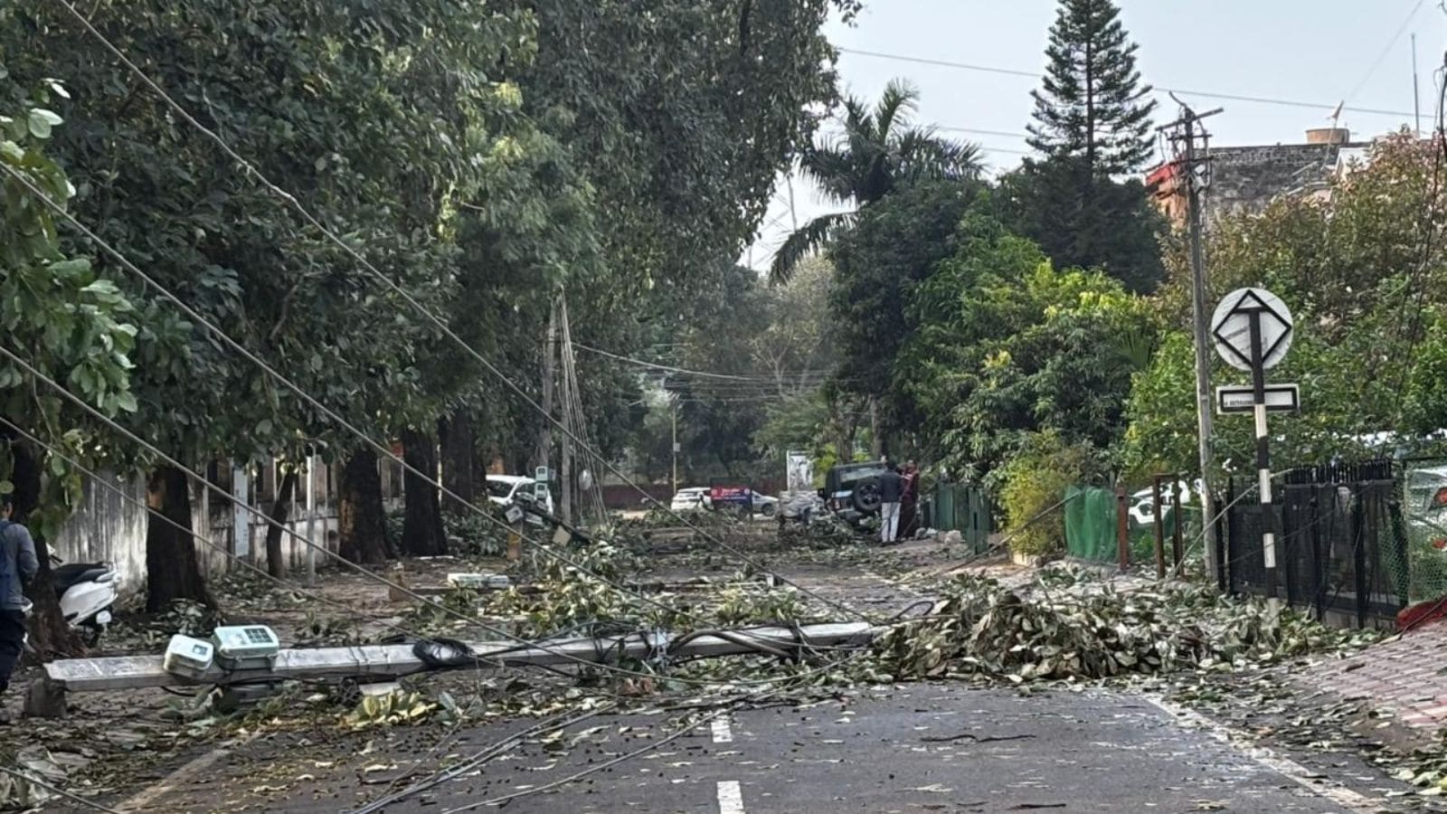 Storm batters Mohali: Power out for over 36 hours in several sectors, water supply hit