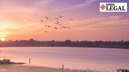 The matter was heard by the NGT Central Zone bench.