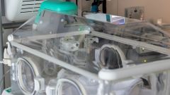 NICU team at BJMC and Sassoon Hospital identify first genetic link to Transient Neonatal Diabetes