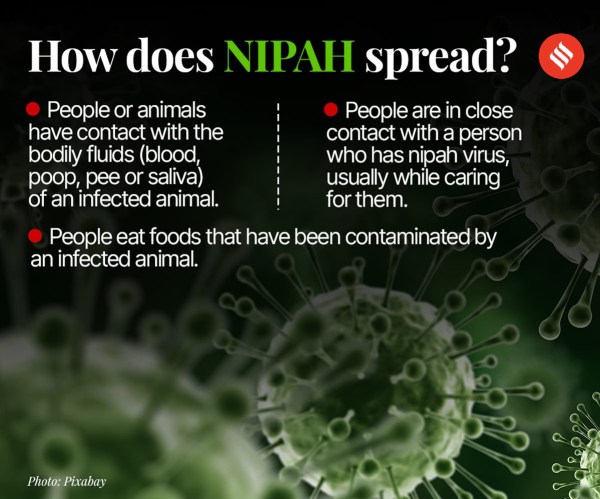 Knowledge Nugget | Two cases of Nipah detected in West Bengal : What you must know for your UPSC Exam