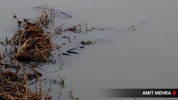 Noida techie drowning site