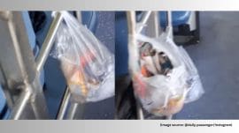 The video, recorded by a passenger, shows a clean general coach