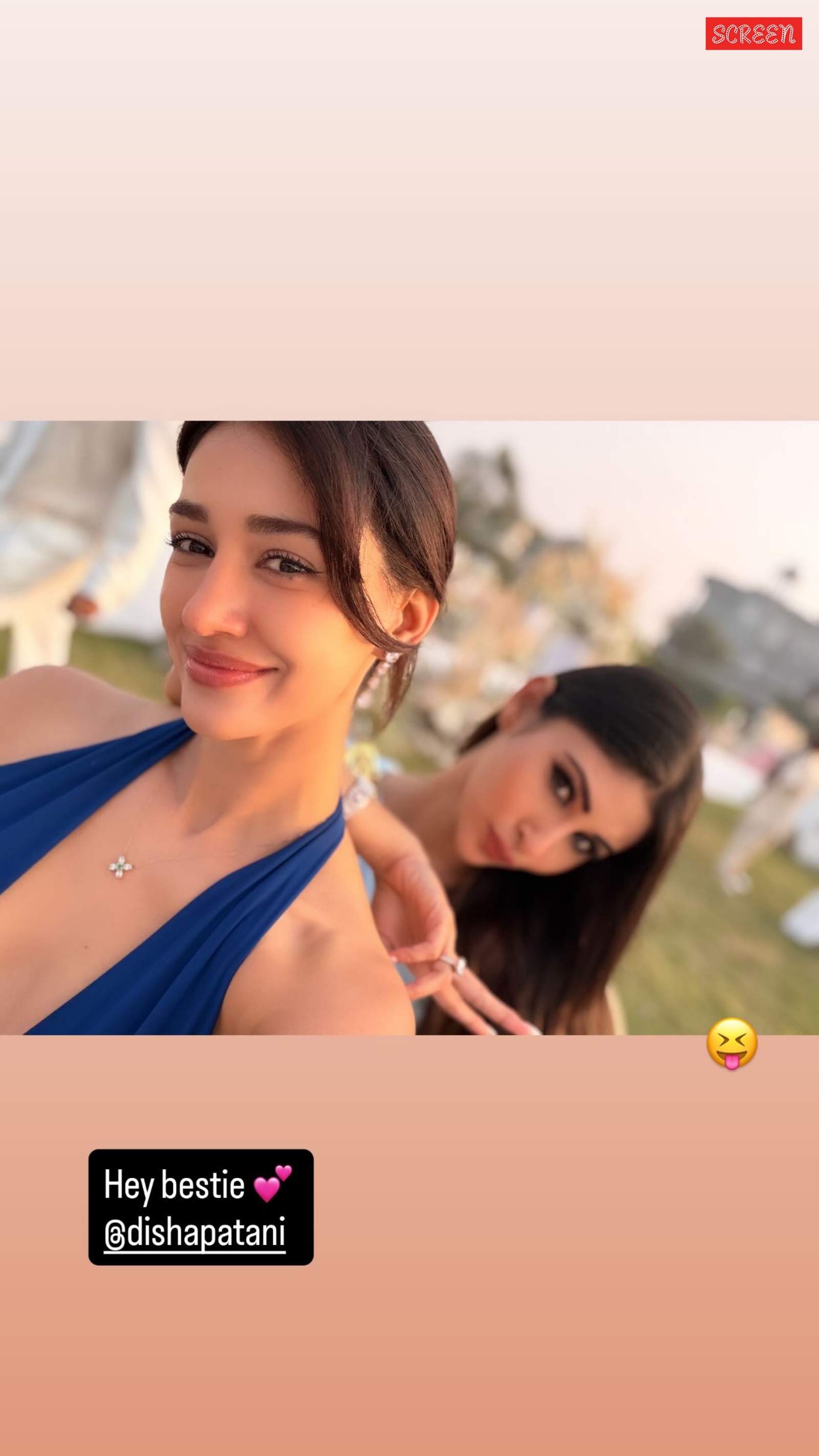 Nupur Sanon and Stebin Ben wedding 