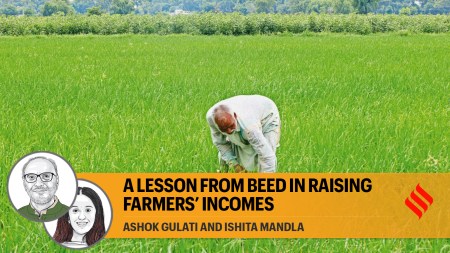 We hope that the Modi government can undertake it and realise its unfulfilled dream of not just doubling farmers’ incomes but augmenting it manifold.