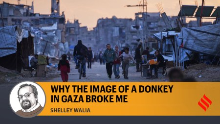 People walk along a tent camp for displaced as the sun sets in Nuseirat, central Gaza Strip. (AP Photo)