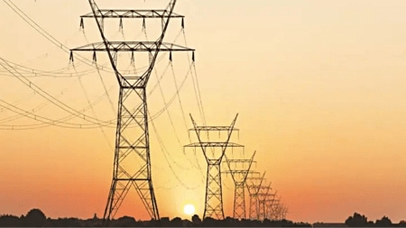 Haryana electricity posts