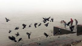 People take a dip in the Ganga river as a flock of pigeons fly at Ganga Ghat, in Kolkata on Tuesday. (ANI Photo)