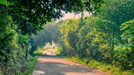 The Centre issued a circular to all states on January 2 to this effect, following a recommendation from the ministry’s Forest Advisory Committee in its December 2 meeting.