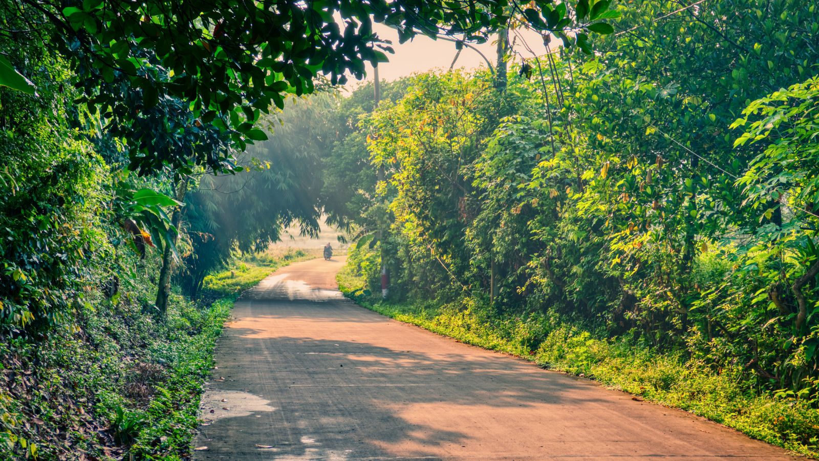 Centre notifies Rules for use of funds collected through penalties under environmental laws