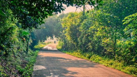 Conducting studies as directed by various courts and tribunals has also been listed as one of the purposes for which the fund can be utilised.