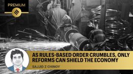 In a world floating with Chinese excess capacity and riddled with US policy capriciousness, a broad-based private investment recovery will require both strong domestic demand visibility and animal spirits