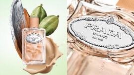 What Prada doesn’t get about the smell of chai