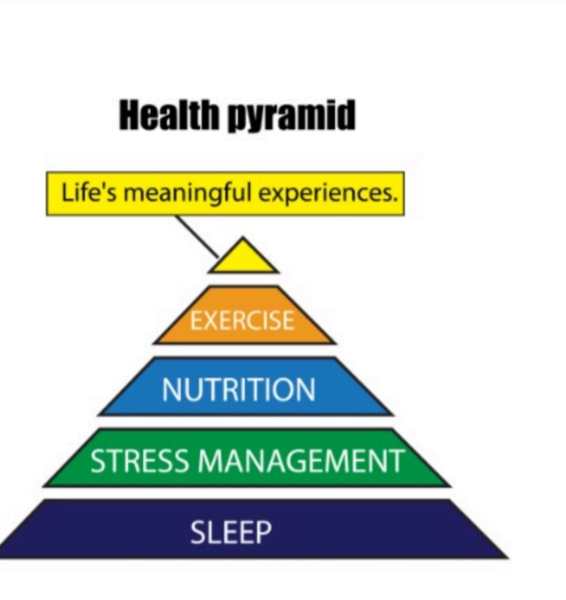 'Why we age and what it teaches us about how to live': Dr Venki Ramakrishnan