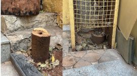 Pune sandalwood theft, Asim Sarode