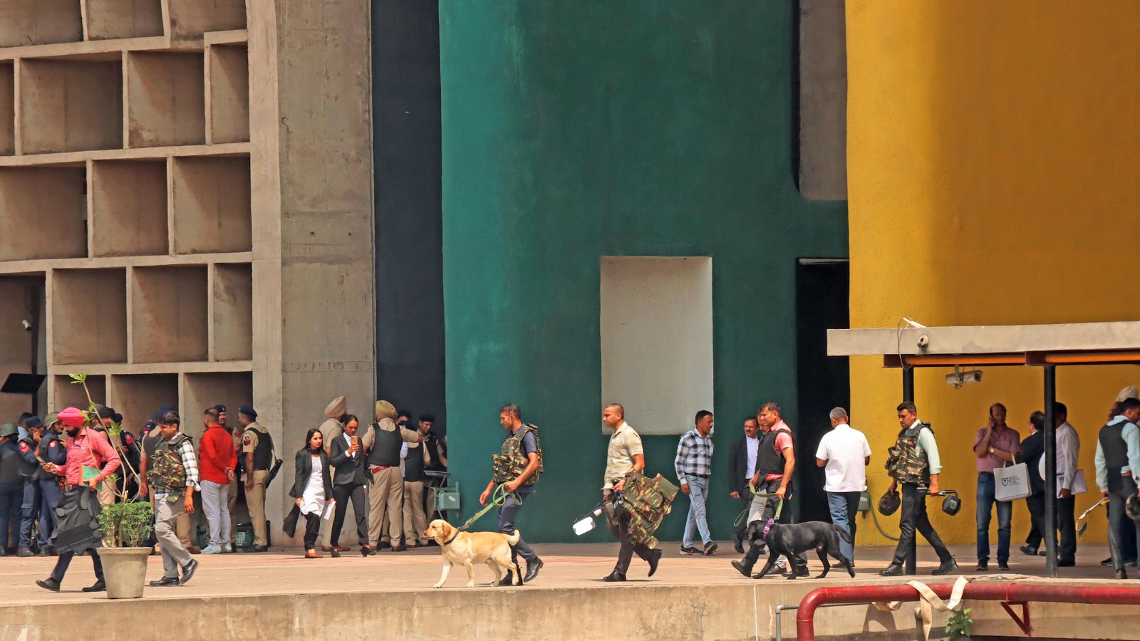 Punjab: NHAI pushes for lifting tree-felling ban; HC says will safeguard green cover, infra needs