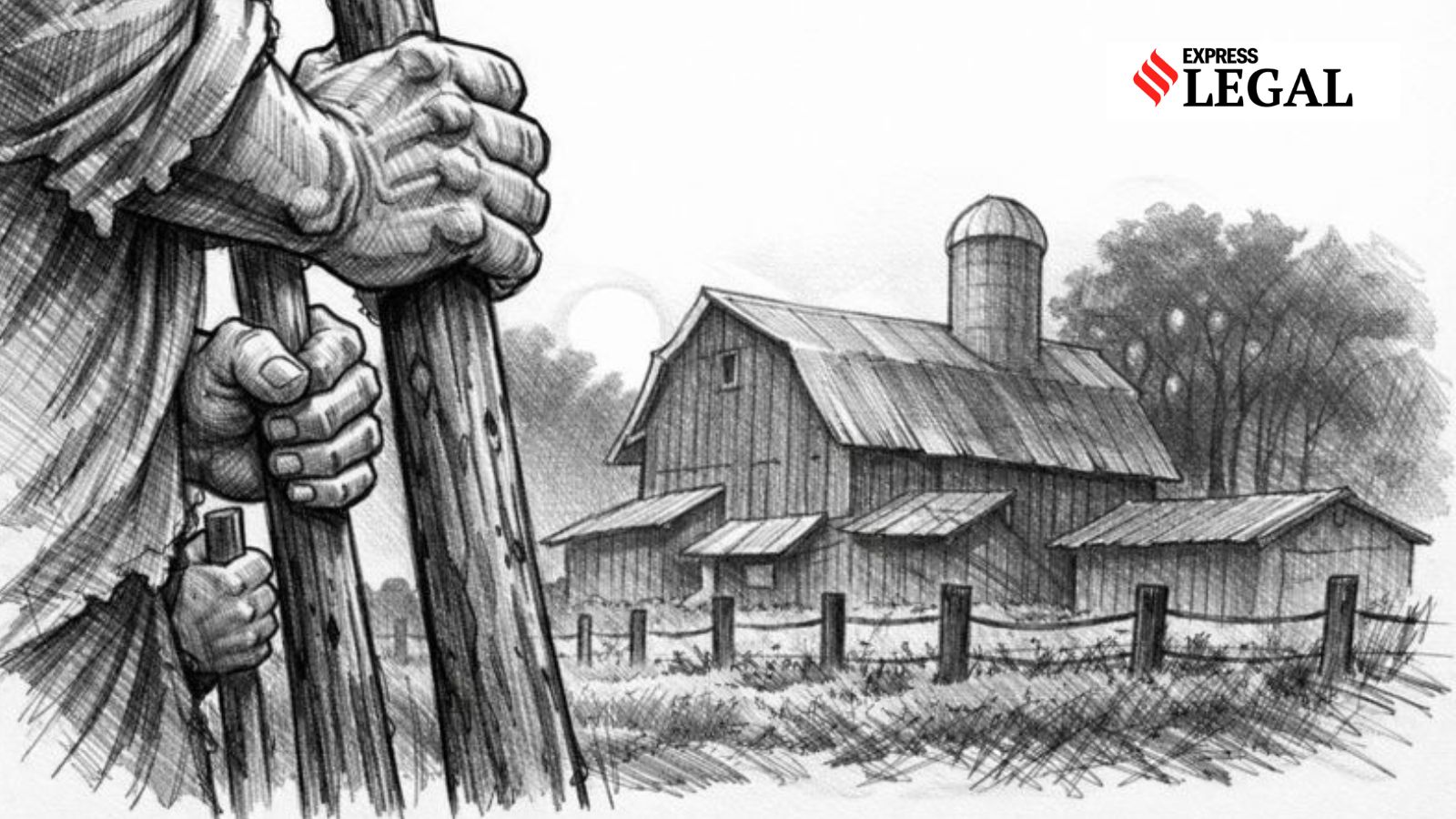 High Court Grants Bail in Farmhouse Attack Case
