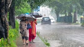 Punjab, Haryana rain