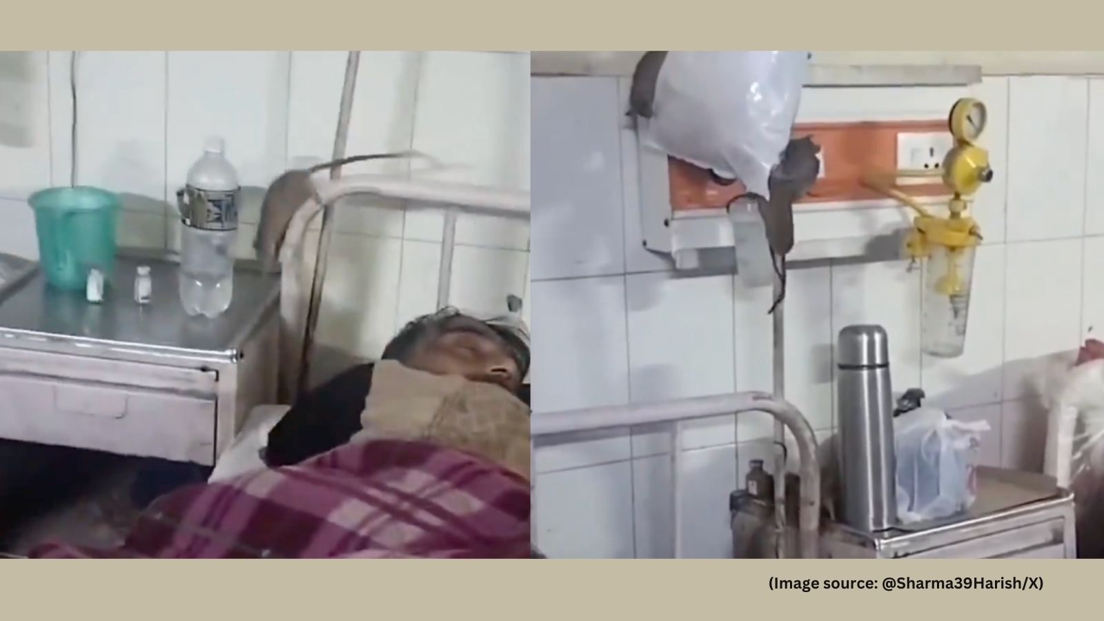 Viral video shows rats on oxygen pipes and near beds at Gonda Medical College; outrage and opposition raise patient-safety concerns