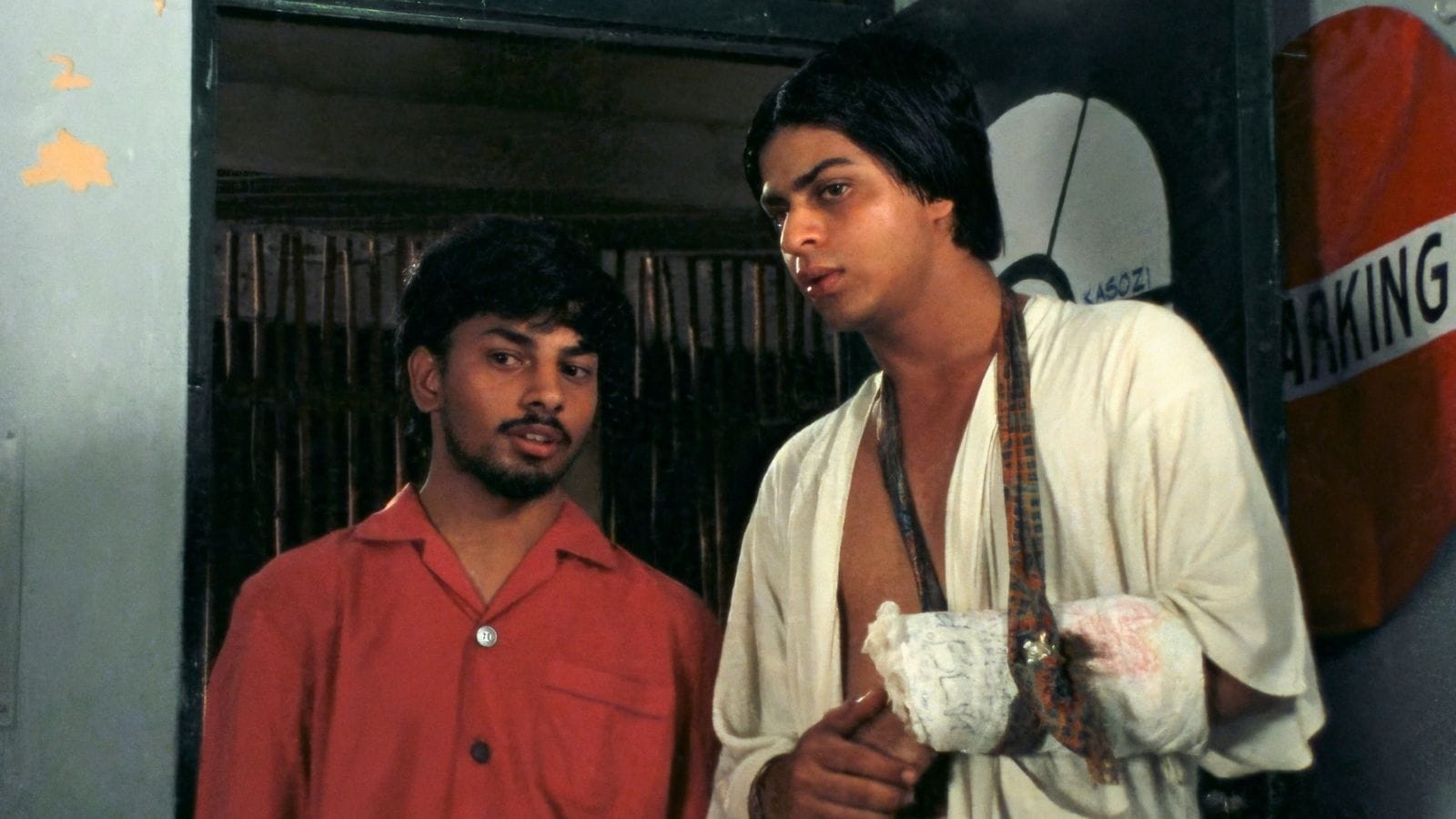 In Which Annie Gives It Those Ones, Arundhati Roy, Shah Rukh Khan, Pradip Krishen,