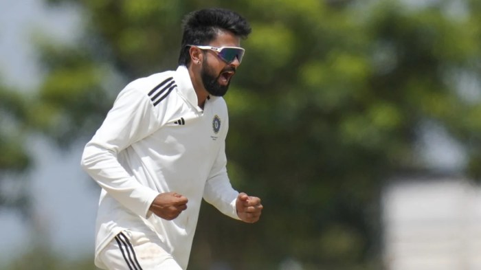 Ranji Trophy 2025-26: Andhra end Vidarbha's unbeaten run thanks to Sheikh Rashid's unbeaten 132, MP beat Karnataka by 217 runs