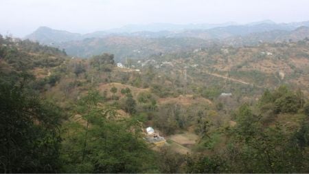 Shimla land