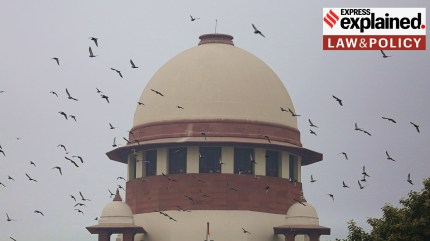 The Supreme Court noted that POCSO's misuse has created a “grim societal chasm”.