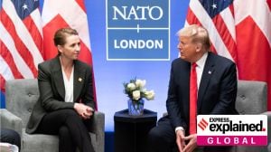 Trump Greenland Denmark