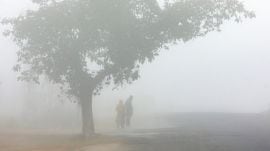 The India Meteorological Department’s MeT centre in Lucknow Friday also issued an ‘orange alert’ for ‘very dense fog’ for over 50 districts for the next three days.