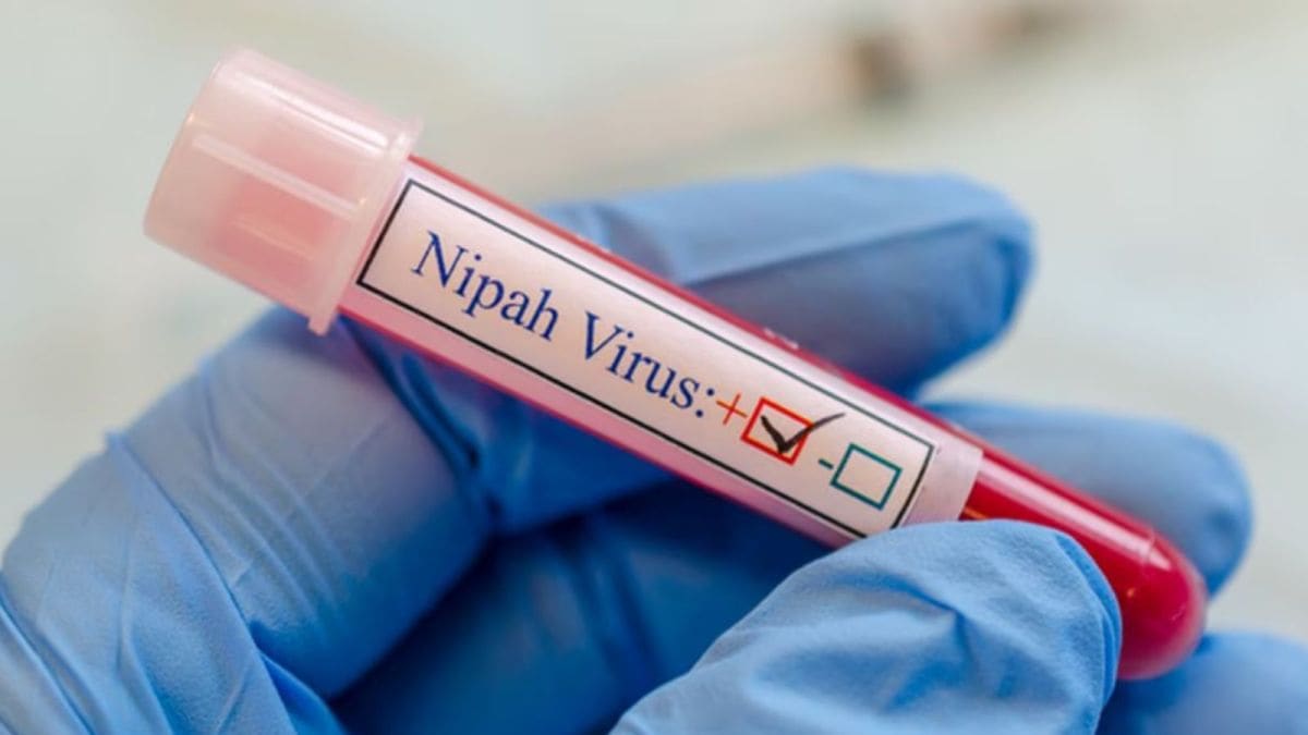 Nipah Virus India 2026: WHO Says Risk is Low, Advises No Travel Restrictions