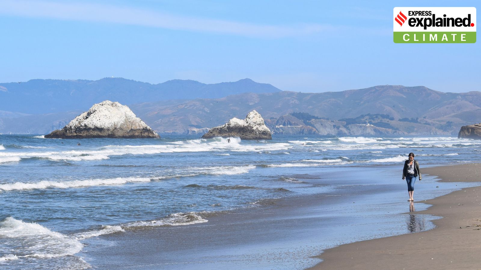 The Art of Baking: From Classic Bread to Artisan Pastries