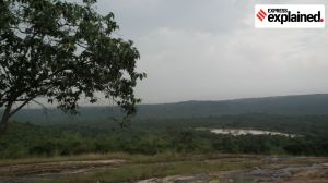 Bannerghatta National Park