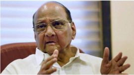 Sharad Pawar NCP merger