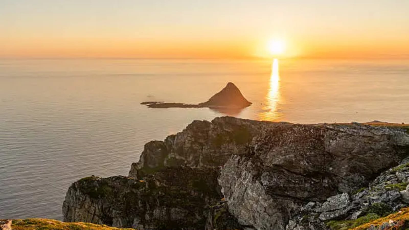The Art of Baking: From Classic Bread to Artisan Pastries