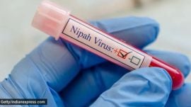 West Bengal has decided to conduct a bat survey in Nadia district to identify the possible source of the Nipah virus outbreak.