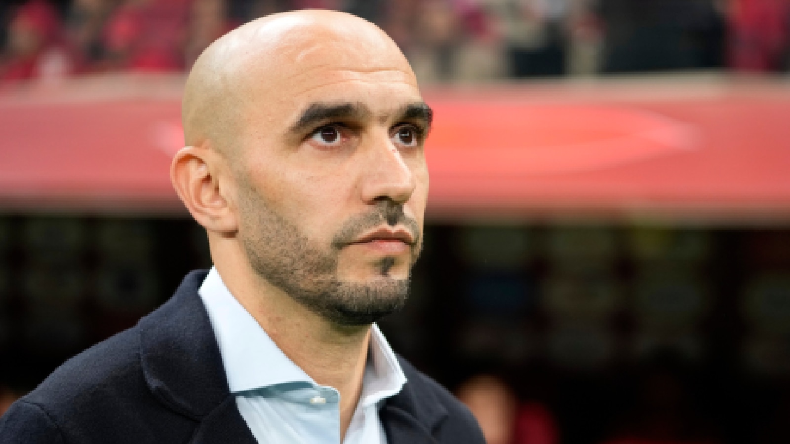 Morocco coach Walid Regragui slams refereeing conspiracy theorists