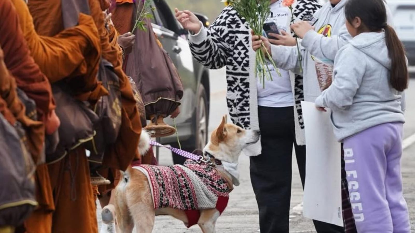 Aloka The Peace Dog: Meet the Indian stray Dog on the ‘Walk of Peace’