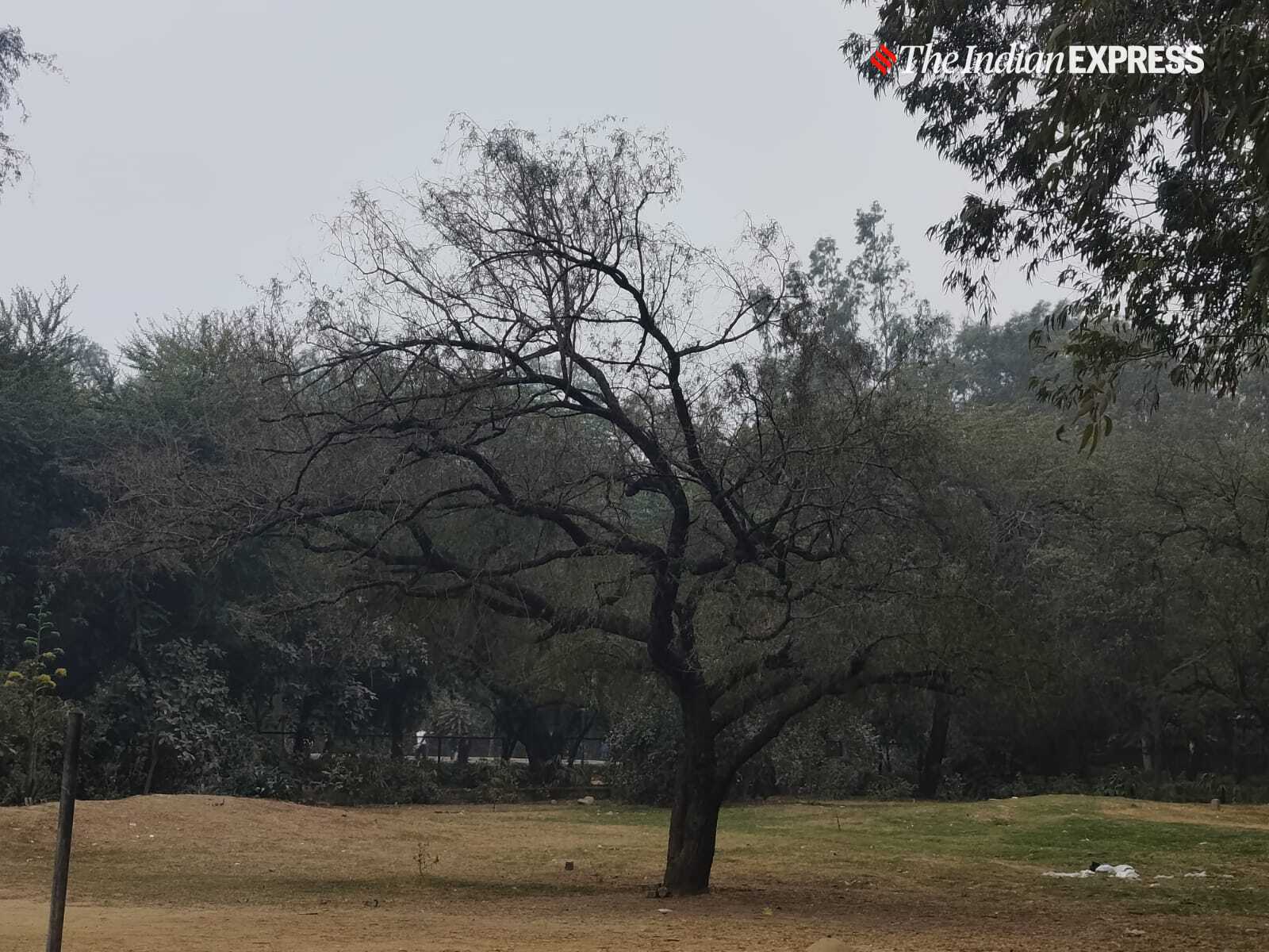 Image sample 1(Image: The Indian Express/ Anuj Bhatia)