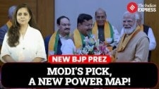 What's BJP's Future As Nitin Nabin Takes Charge As Party President