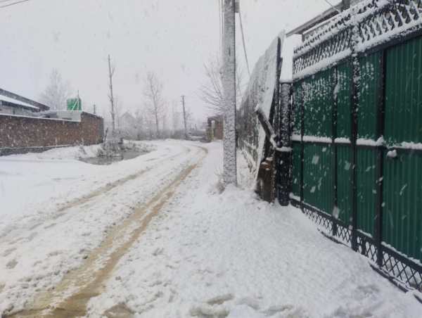 A visual from Hyderpora Srinagar. (Express Photo by Mashkoora Khan)