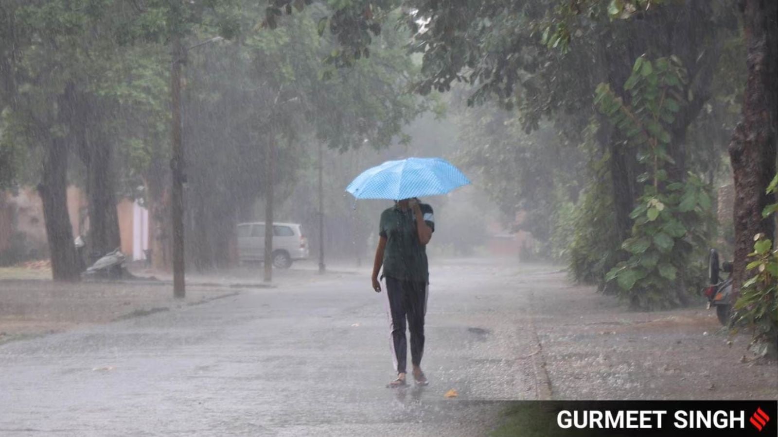 Rain, gusty winds throw Chandigarh out of gear; roof collapse injures 3 children, trees bring traffic to a halt