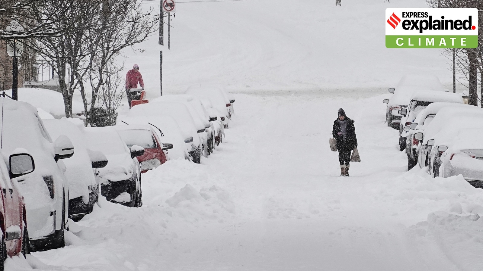 Polar vortex: What’s behind the lethal winter storm in the United States?