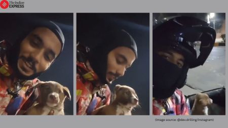 Zomato rider rescues puppy