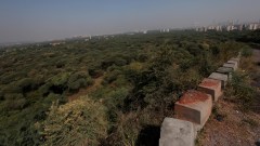 In Gurgaon’s Aravalli belt, study flags shrinking forest, fragmented habitat amid ‘rapid urbanisation’