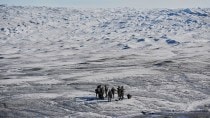 arctic, danish military, greenland, trump
